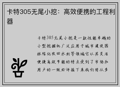 卡特305无尾小挖：高效便携的工程利器